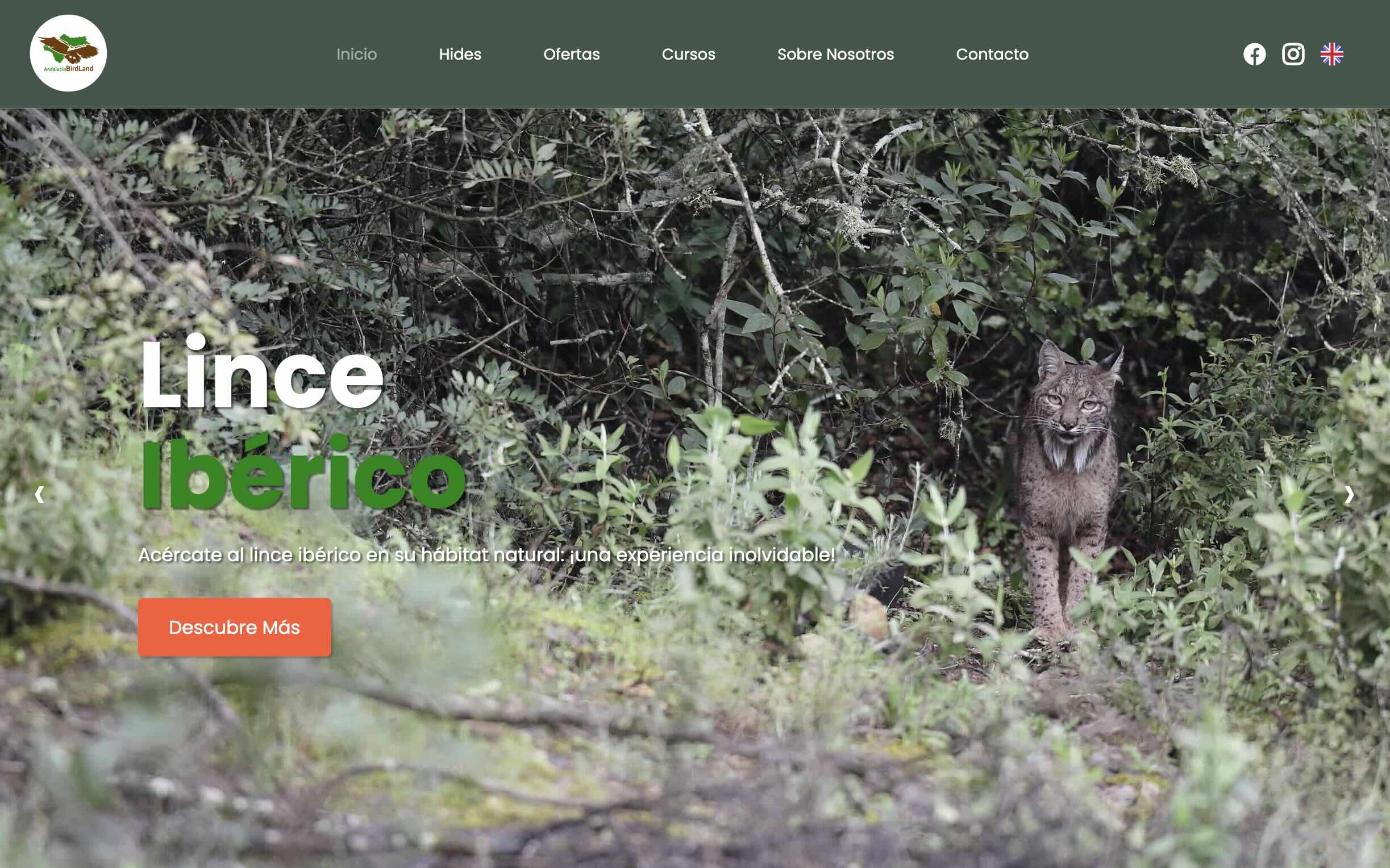 Project Screenshot